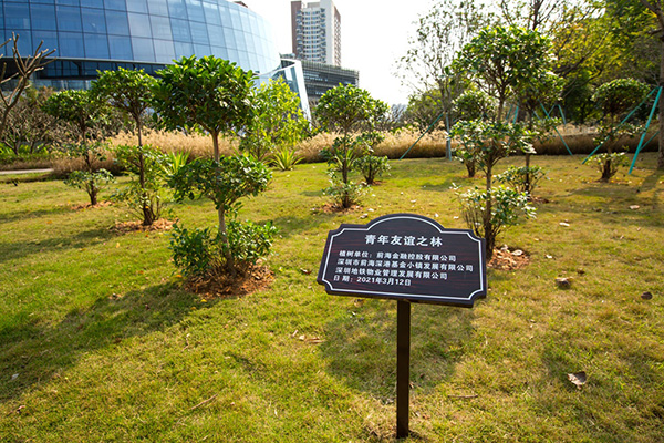 电子游戏app入口