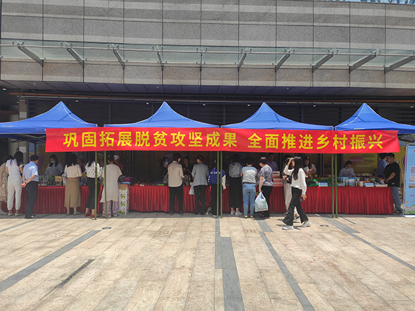 电子游戏app入口